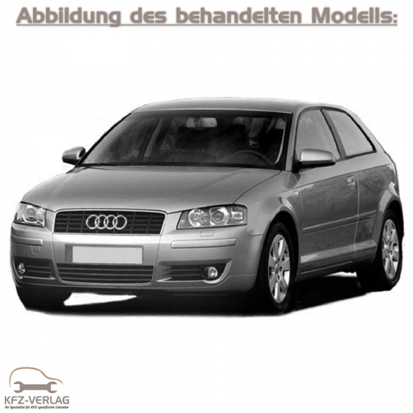 Audi a3 8p tuning